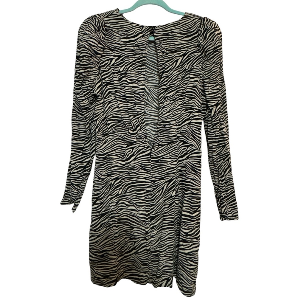 Zebra Mini Dress | H & M - Picture 2 of 3